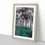 Forest in Russia - Framed Print-55577635-55577636