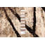 Tapis Artresha-179523444