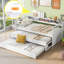 Lit de jour pour lit simple TG-1434923682