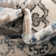 Tapis Charlotte Rugs.com