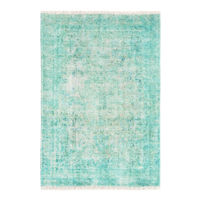 Rugs.com Haleh Boutique Rug