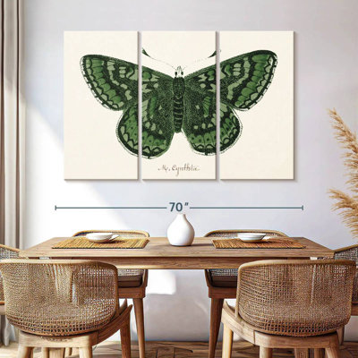 Papillon antique I