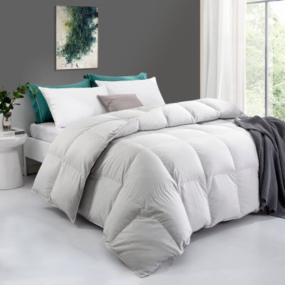 Grimstad 600 Fill Power All Season Down Comforter
