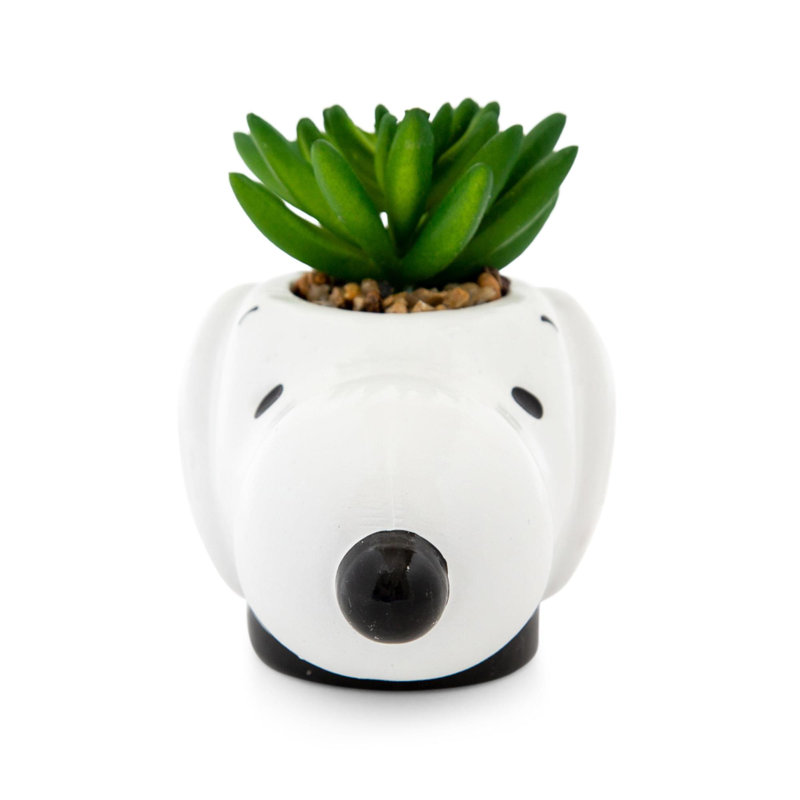 6.1'' Faux Succulent