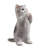 Cat Kitten Statue Praying-Gray-116323234
