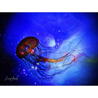 Jellyfish Print by Leonard Askowitz