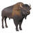 Large Scale Buffalo of the Great Plains Statue