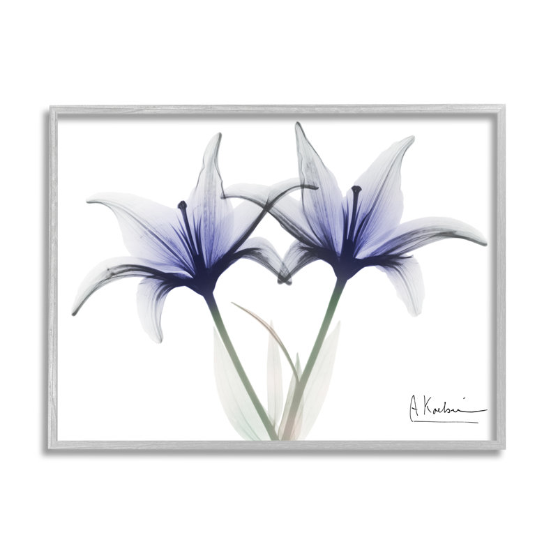 Photographie de fleurs de lis aux rayons X sur toile, H 11 po x l 14 po x P 1,5 po, Estampe numérique Farmhouse