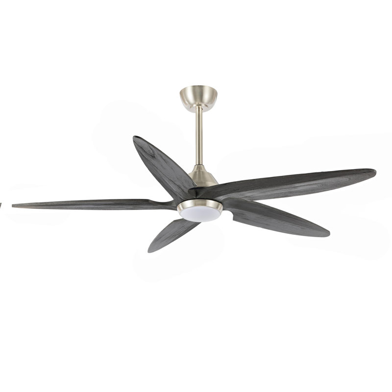 Chanille 5-Blade Solid Wood Ceiling Fan with LED Light and Remote Control, Gold, White, 54"