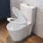 One-Piece Toilet with Chair Seat ADA Height 17.2", Elongated Dual Flush 1.28 GPF, MAP 1000g, White