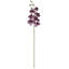 100cm Purple Phalaenopsis Orchid Stem
