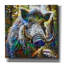 «Wild Boar» par Pedro Gavidia, art mural-1600468640