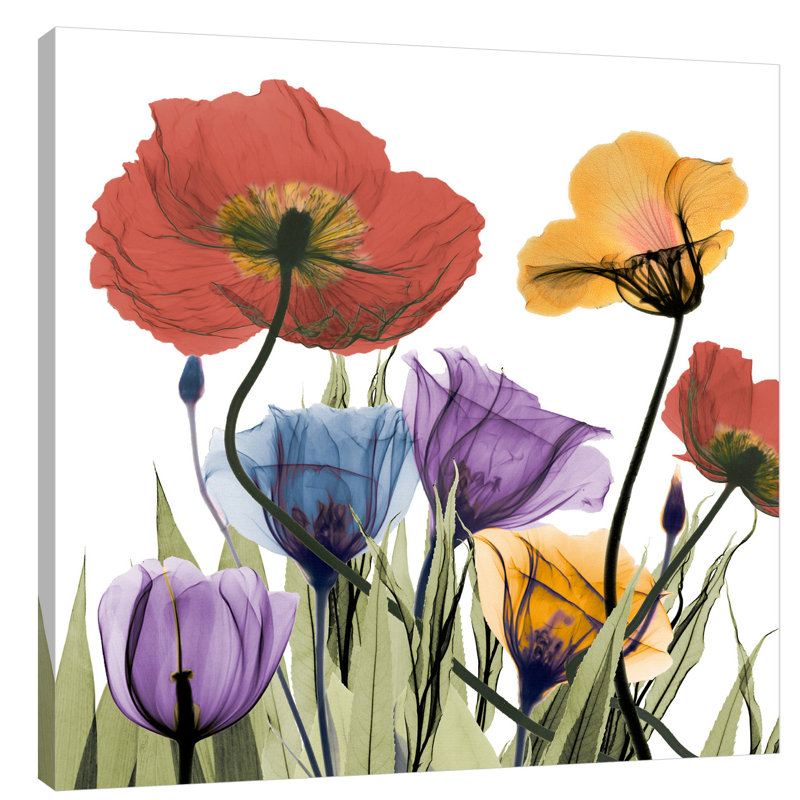 Flowerscape - Wrapped Canvas Print, 30cm H x 30cm W