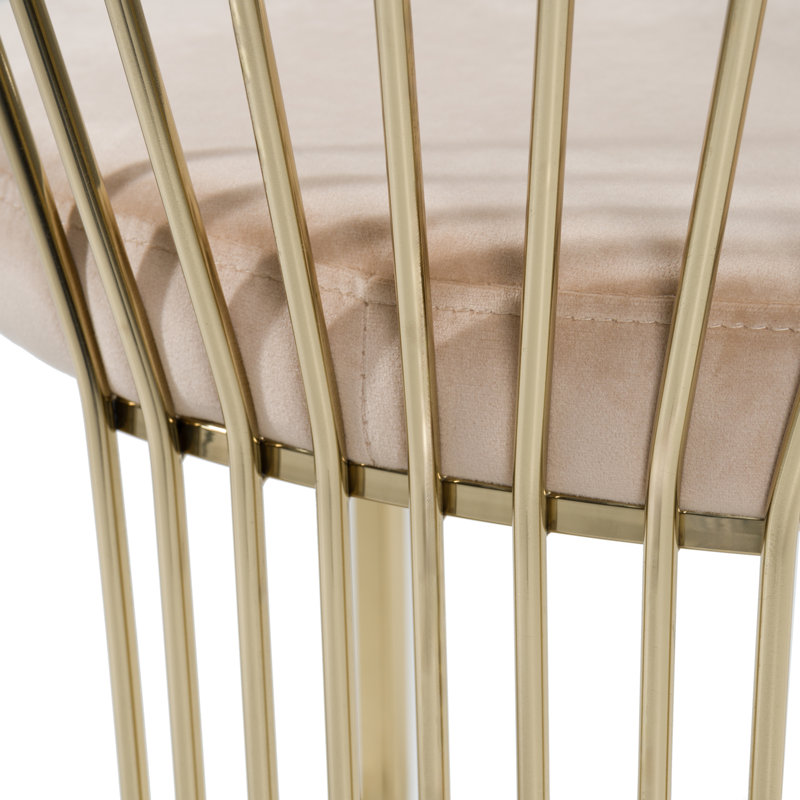 Keyleigh Velvet Upholstered Arm Chair, Beige Velvet
