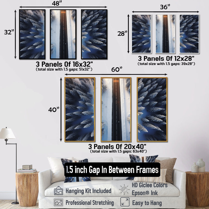 Endless Road Into Winter Forest I - Art mural mural, Cadre flottant noir, H 28 po x l 36 po