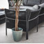 Petra 8 Seat Rectangular Dining Set