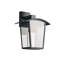 Nedjalko 23cm H Outdoor Wall Lantern