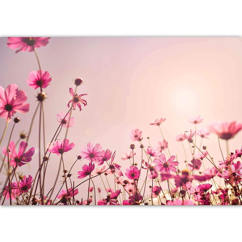 Floral Peel & Stick Border, 100" L x 144" W
