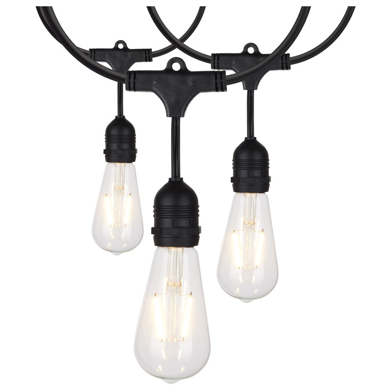 24Ft - LED String Light - 12 Vintage ST19 Bulbs Included - 120 Volts