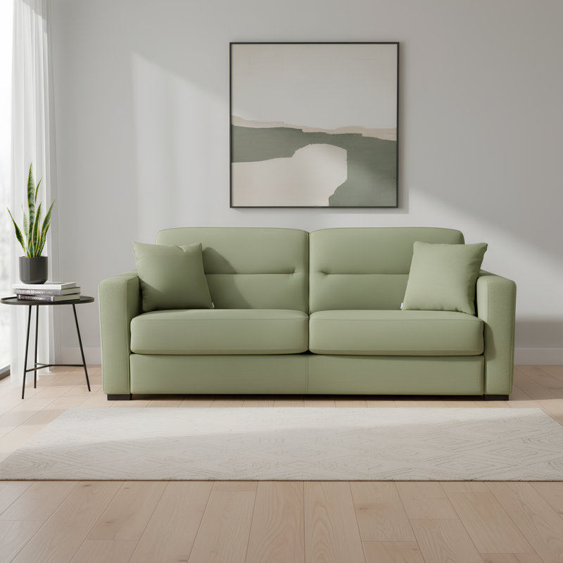 Björgúlfur 81" Italian Stain and Abrasion Resistant Performance Fabric Queen Pull Out Sleeper Sofa Bed