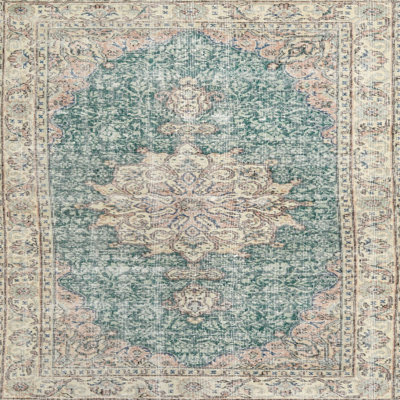 Wool Oriental Indoor Rug