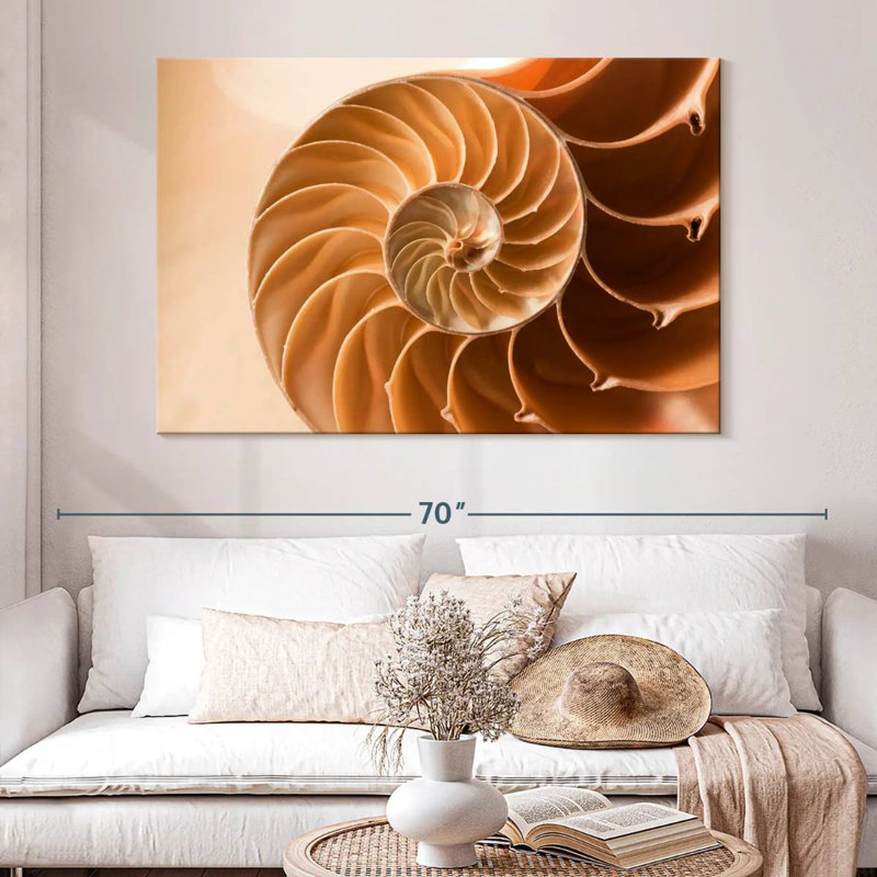 Aletra Nautilus Shell Inside, 34" H x 51" W