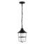 Lehn Outdoor Pendant
