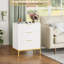 Chest of Drawers-1110465555