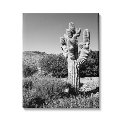 «Thick Desert Cactus Black White Canyon Landscape» par Bill Carson, photographie