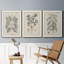 Antique Black and White Botanical VII - Ensemble de 3 reproductions d'art sur toile-282180058-282180051