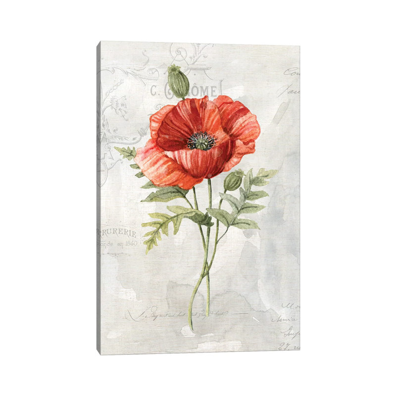 Linen Poppy by Carol Robinson - Print on Canvas, Wrapped Canvas, 30.48 cm H x 45.72 cm W