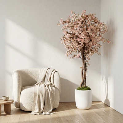Cherry Blossom Tree in Fiberstone Planter