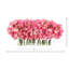 Peonies Arranged in a Glass Vase-1218887326