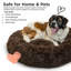 Lit pour animaux en fausse fourrure Tucker Murphy Pet ™-2104052096-2104052155