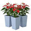 Ensemble de 3 pots à plantes-781994239