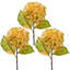 Hydragnea d'automne 23 po Just Cut-1135838064