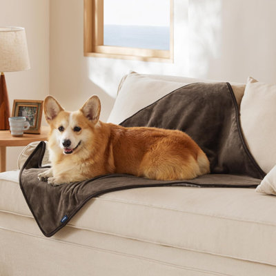 Flannel Pet Blanket