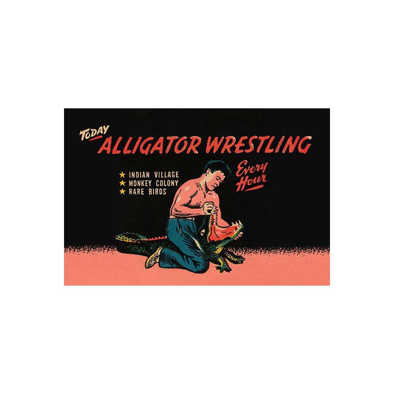 «alligatoring, H 44 po x l 66 po