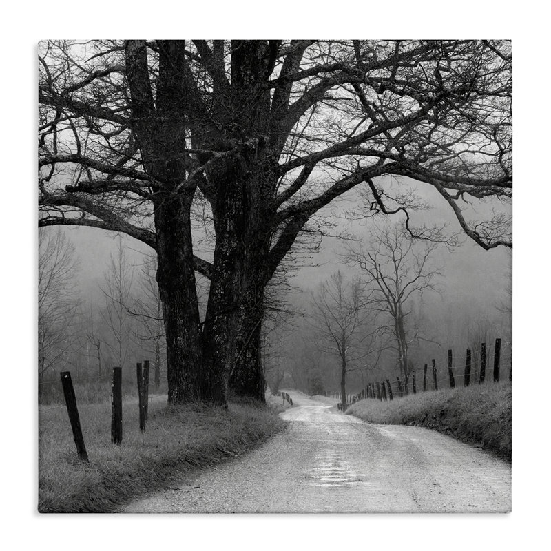 "Lonely Path Vers Trees", art mural sur toile par Nicholas Bell, H 24 po x l 24 po