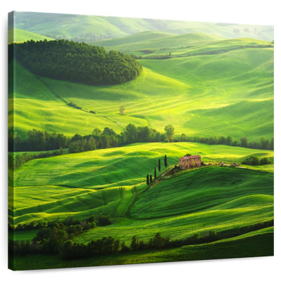Nicci Toscan Rolling Field
