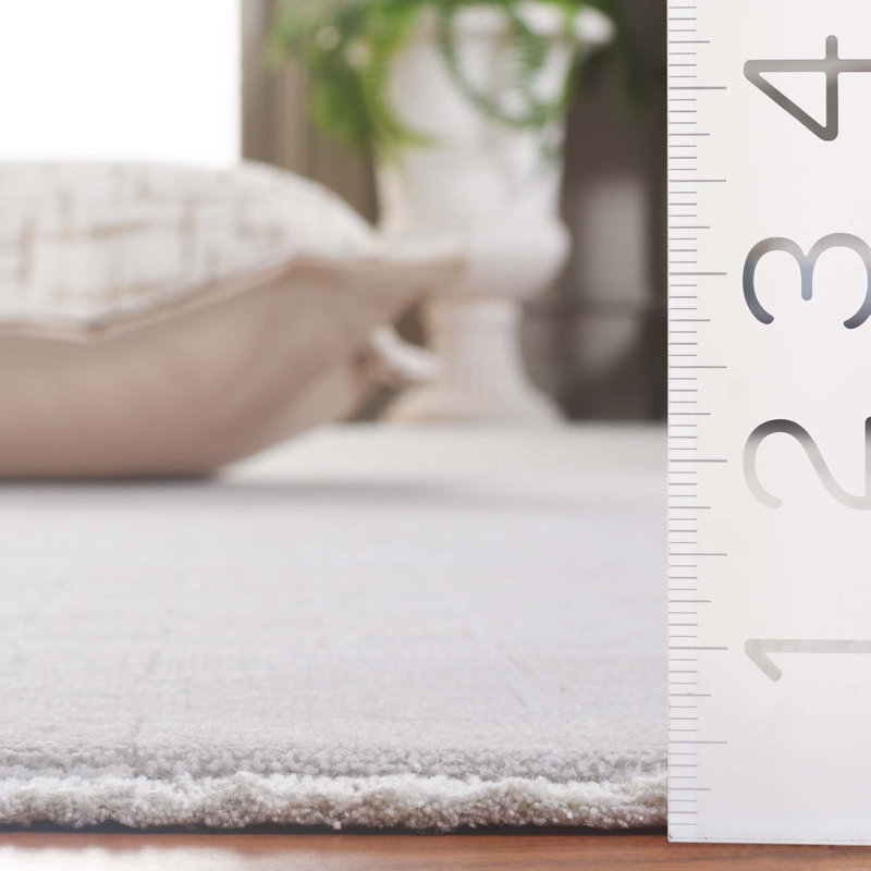 Tapis Signature, Rectangle 8 pi x 10 pi