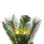Vickerman 9' x 14" Brighton Pine Artificial Garland with 100 Warm White LED Mini Lights