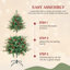 Fir Christmas Tree-1221183424