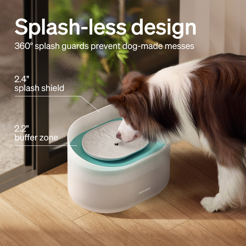 Capsule Automatic Dog Water Fountain