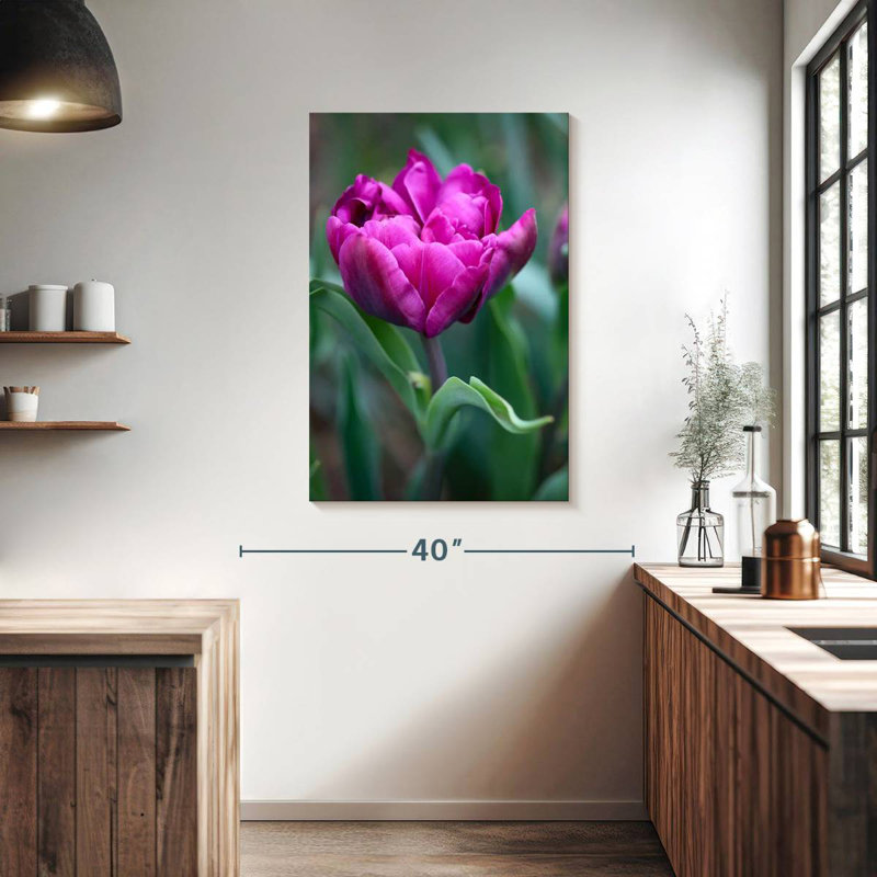 Harnek tulipe fuchsia, H 39 po x l 26 po
