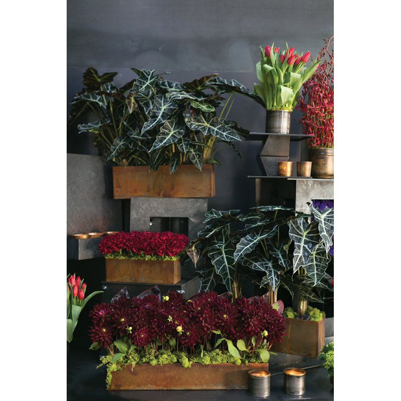 Montello Metal Pot Planter, 6" H x 18" W x 6" D