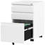 3 Drawer Steel File Cabinet-1830788244