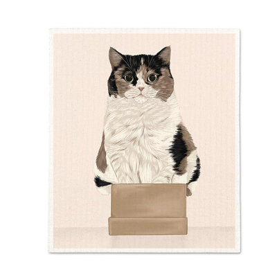 Cat In A Box Dishcloth