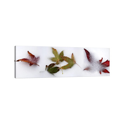 Leaves In The Snow by Panoramic Images - Wrapped Canvas Panoramic Print