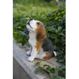 Beagle Puppy Howling